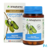 ARKOG GRIFFONIA GELUL 40