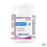 ERGYSTRESS SEREN GELUL 60