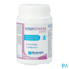 ERGYSTRESS SEREN GELUL 60
