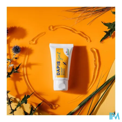 DAPIS GEL MULTILINGUE 40G