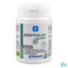 ERGYPHILUS CONFORT GELUL 60