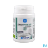 ERGYPHILUS CONFORT GELUL 60