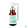 PURESSENTIEL RESP SPRAY GORG 15ML