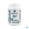 ERGYBASE GELUL 60