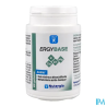 ERGYBASE GELUL 60
