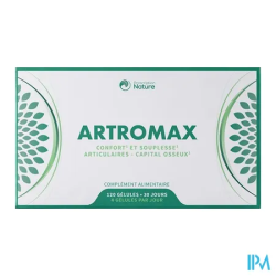 PRESCRIPTION NAT ARTROMAX GELUL120