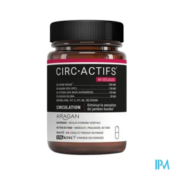 SYNACTIFS CIRCACTIFS GELULE 60