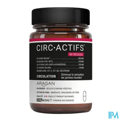 SYNACTIFS CIRCACTIFS GELULE 60