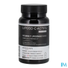 SYNACTIFS LIPOSO-C ACTIFS GELUL 40