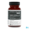 SYNACTIFS LIPOSO-C ACTIFS GELUL 40
