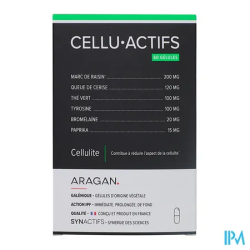 SYNACTIFS CELLUACTIFS GELUL 60