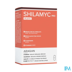 ARAGAN SHILAMYC PRO GELUL 60