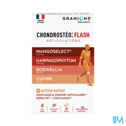 CHONDROSTEO FLASH GELUL 40