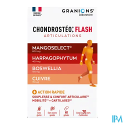 CHONDROSTEO FLASH GELUL 40