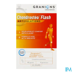 CHONDROSTEO FLASH GELUL 40
