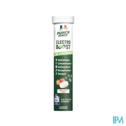 PUNCH POWER ELECTROBOOS FRAI CPR20