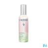 CAUDALIE EAU BEAUTE VISAGE 100ML