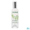 CAUDALIE EAU BEAUTE VISAGE 100ML