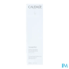 CAUDALIE VINOPERF ESSENC CONC150ML