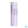 CAUDALIE VINOTHERAPIST STICK LEVRE