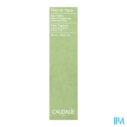 CAUDALIE EAU FRAICHE FL VIGNE 50ML