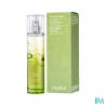 CAUDALIE EAU FRAICHE FL VIGNE 50ML
