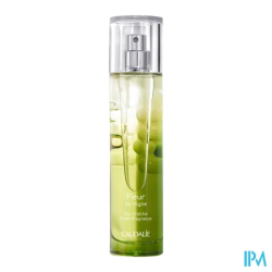 CAUDALIE EAU FRAICHE FL VIGNE 50ML
