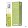 CAUDALIE EAU FRAICHE FL VIGNE 50ML