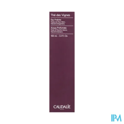 CAUDALIE EAU FRAICHE THE VIGN100ML