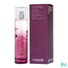 CAUDALIE EAU FRAICHE THE VIGN100ML