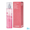 CAUDALIE EAU FRAICHE ROS VIGNE50ML