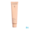 CAUDALIE VINOCRUSH CC CR TEINT 2
