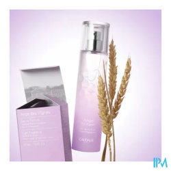 CAUDALIE EDP ANGE VIGNE 50ML