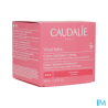 CAUDALIE VINOHYDRA CR HYDR SOS50ML