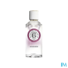 RG EAU PARFUM GINGEMBRE 100ML