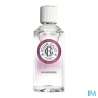 RG EAU PARFUM GINGEMBRE 100ML