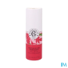 RG PARF SOLID GINGEMB RGE STICK 5G