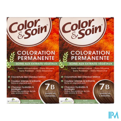 3 CHENES COLOR/SOIN MARRON CARA 7B