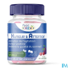 PETIT CHENE HUMEUR ATTENT GOMME 30