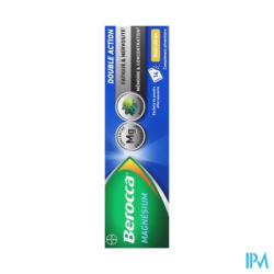 BEROCCA MAGNESIUM SACH 14
