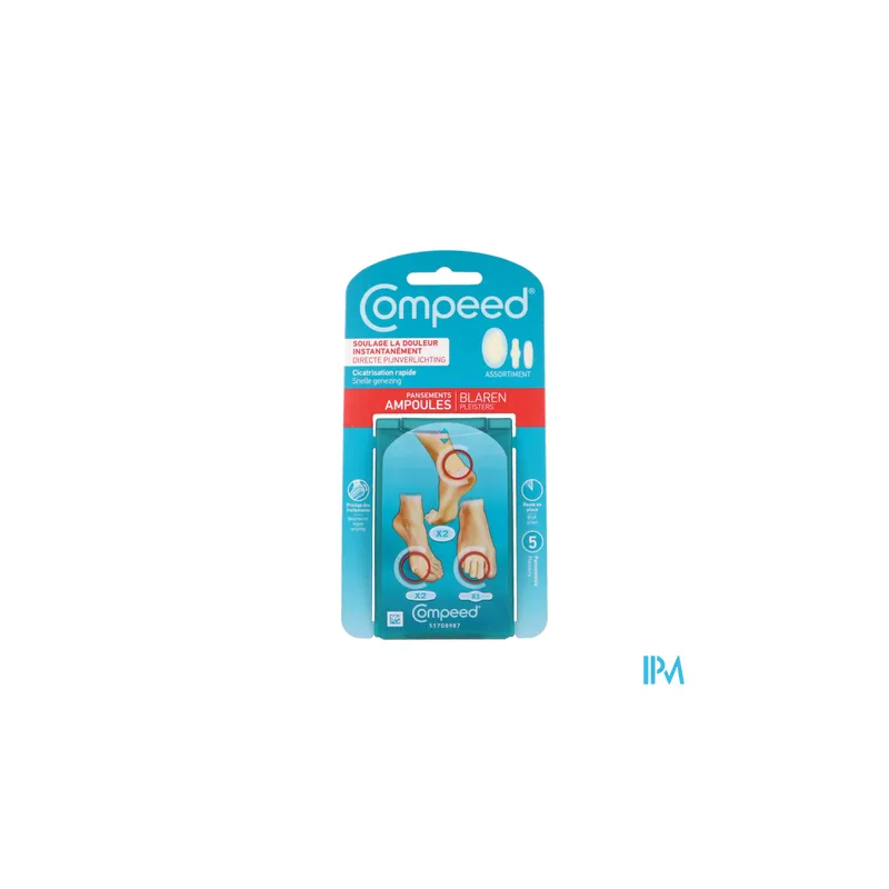 COMPEED PANS AMP ASSORTIMENT BTE 5