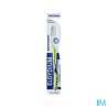 BDEN ELGYDIUM BLANCHEUR MEDIUM