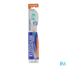 BDEN ELGYDIUM DIFFUSION MEDIUM