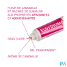 ELGYDIUM 1ER DENT GEL GING NOURR15