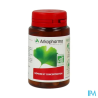 ARKOG GINKGO BIO GELUL 45