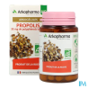 ARKOG PROPOLIS BIO GELUL 40