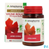 ARKOG VIGNE ROUGE BIO GELUL 45
