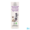 ELIX&CO ANIMAUX AGRESSIFS SPR 10ML