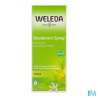 WELEDA DEOD 24H CITRUS SPR 100ML