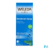 WELEDA DEOD 24H SAUGE SPR 100ML